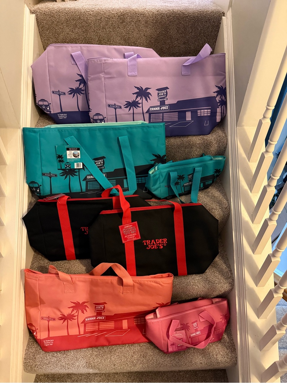 Trader Joe’s Insulated Bags - Bundle of 8